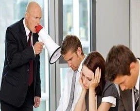 پرسشنامه استاندارد رهبری زهرآگین اشمیت (2008)